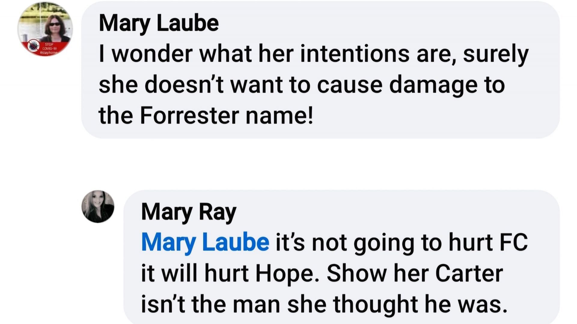 Viewers discuss what Steffy's goals might be (Image via Facebook/@Mary Ray)